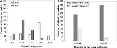 Genome-Wide Association Study of Tan Spot Resistance in a Hexaploid Wheat Collection From Kazakhstan